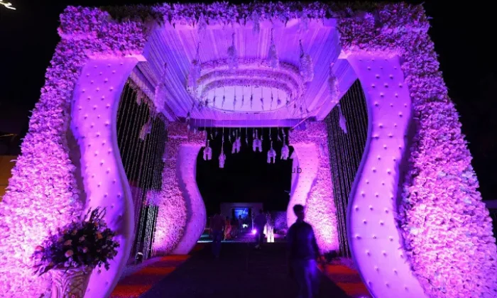 ADONIS By Anusha Mody